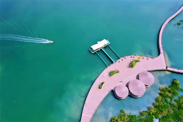 造乐生活 趣国贸 | 绝了!火爆全网的双节活动,你打卡了吗?——九房网 造乐生活 趣国贸 | 绝了!火爆全网的双节活动,你打卡了吗?——九房网