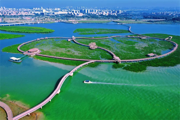 造乐生活 趣国贸 | 绝了!火爆全网的双节活动,你打卡了吗?——九房网 造乐生活 趣国贸 | 绝了!火爆全网的双节活动,你打卡了吗?——九房网