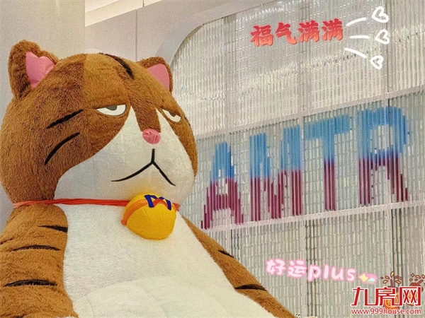 巨型橘猫登鹭岛，春节打卡必逛！——九房网