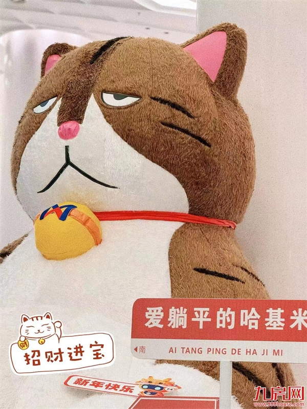 巨型橘猫登鹭岛，春节打卡必逛！——九房网
