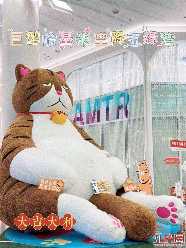 巨型橘猫登鹭岛，春节打卡必逛！——九房网