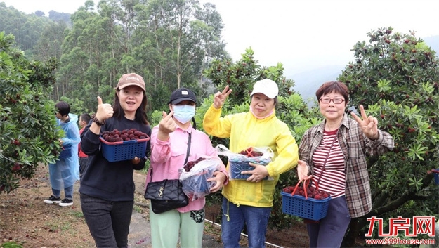 厦门房产,厦门房地产,厦门新房,九房网,厦门房产 厦门房产,厦门房地产,厦门新房,九房网,厦门房产