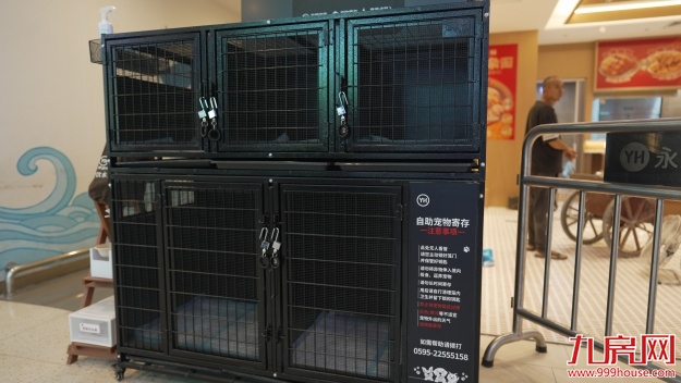 从“菜篮子”到“生活场”：永辉超市泉州浦西万达店调改8月29日亮相——九房网