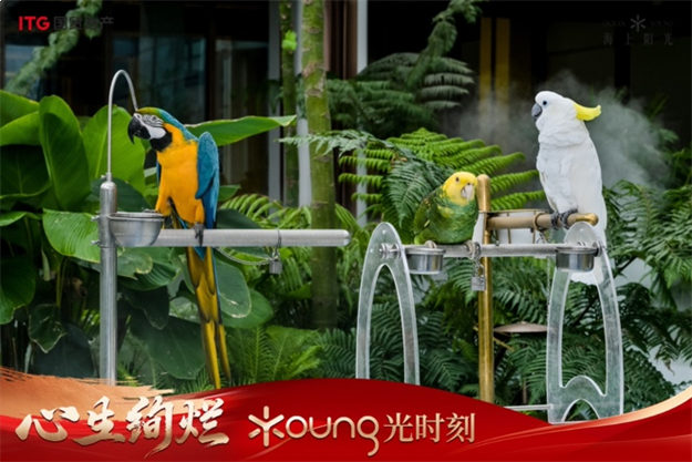 岛东生活上新！在约1.3万㎡实景配套旗舰社区，先享未来——九房网